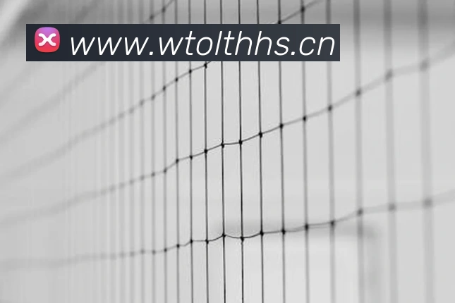 云开体app官网登录入口发展历程